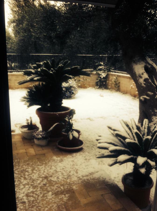 Les Fleurs B&B Bari Kültér fotó